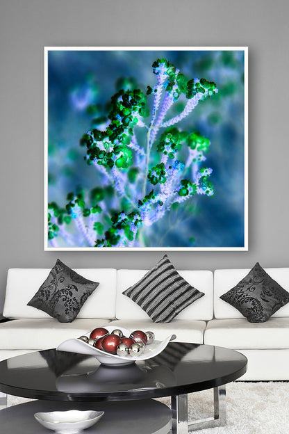 Reaching for Light - Limited Edition Canvas Print Square